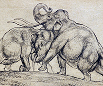 Two battling mammoths