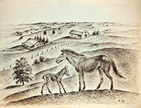 Farm and horses