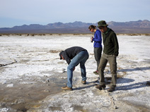 Seth looks for signs of life in a briny pool at Badwater