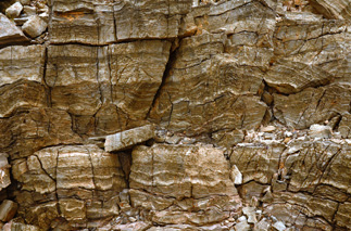 Beck Springs Formation microbialites