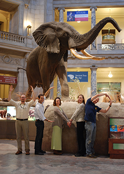 UCMP alums working at the Smithsonian NMNH.
