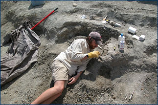 Alan Turner excavating another bone
