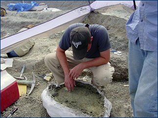 Randy Irmis inspects the bottom side to make sure no fossil bone is exposed