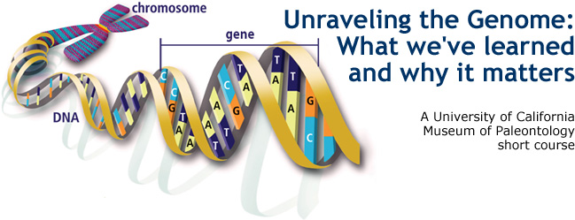 Unraveling the Genome: What we've learned and why it matters