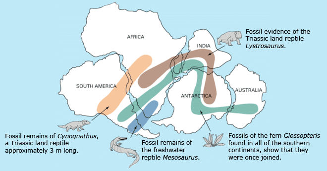 Continents and fossil distribution