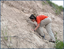 Jenny McGuire examines an Eocene outcrop near San Diego