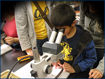 A future Cal Bear looks for microfossils