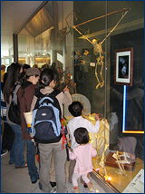 Cal Day visitors stop to admire the HERC/UCMP exhibit
