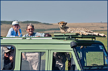 Judy and Roland with a cheetah in Kenya