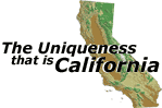 Unique California banner