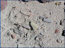 Fossil bone fragments are commonly found in the rocks of Red Rock Canyon