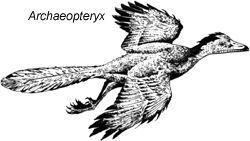 Archaeopteryx gliding