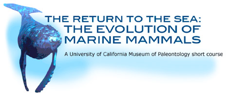 Marine Mammals short course 2011
