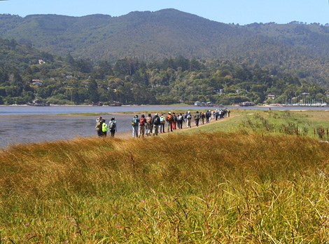 At Tomales Bay