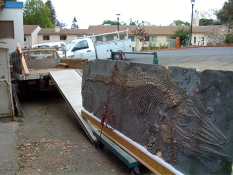 Moving the ichthyosaur from Clark Kerr to VLSB