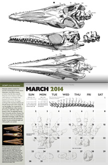 March 2014 calendar spread
