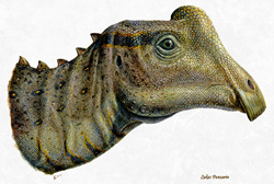 Baby Parasaurolophus reconstruction by Tyler Keillor