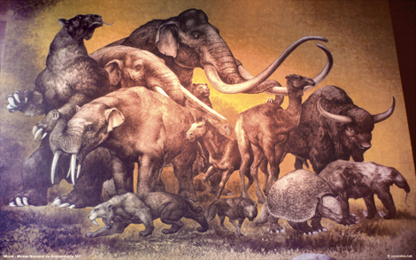 South American megafauna
