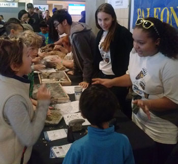 The public enjoys the opportunity to explore fossils and learn more about paleontology from UCMP students. Photo by Renske Kirchholtes