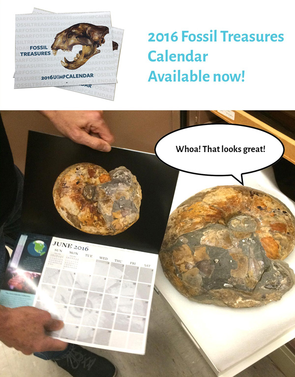 Assistant Director Mark Goodwin showing off the 2016 UCMP Calendar to an ammonite, a featured fossil. 