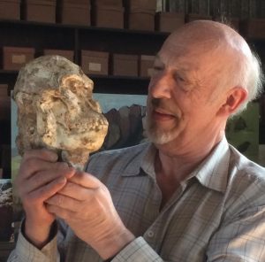 Famed anthropologist Ron Clarke holding the cranium of “Littlefoot,” a recently discovered South African hominid. Photo by Tesla Monson