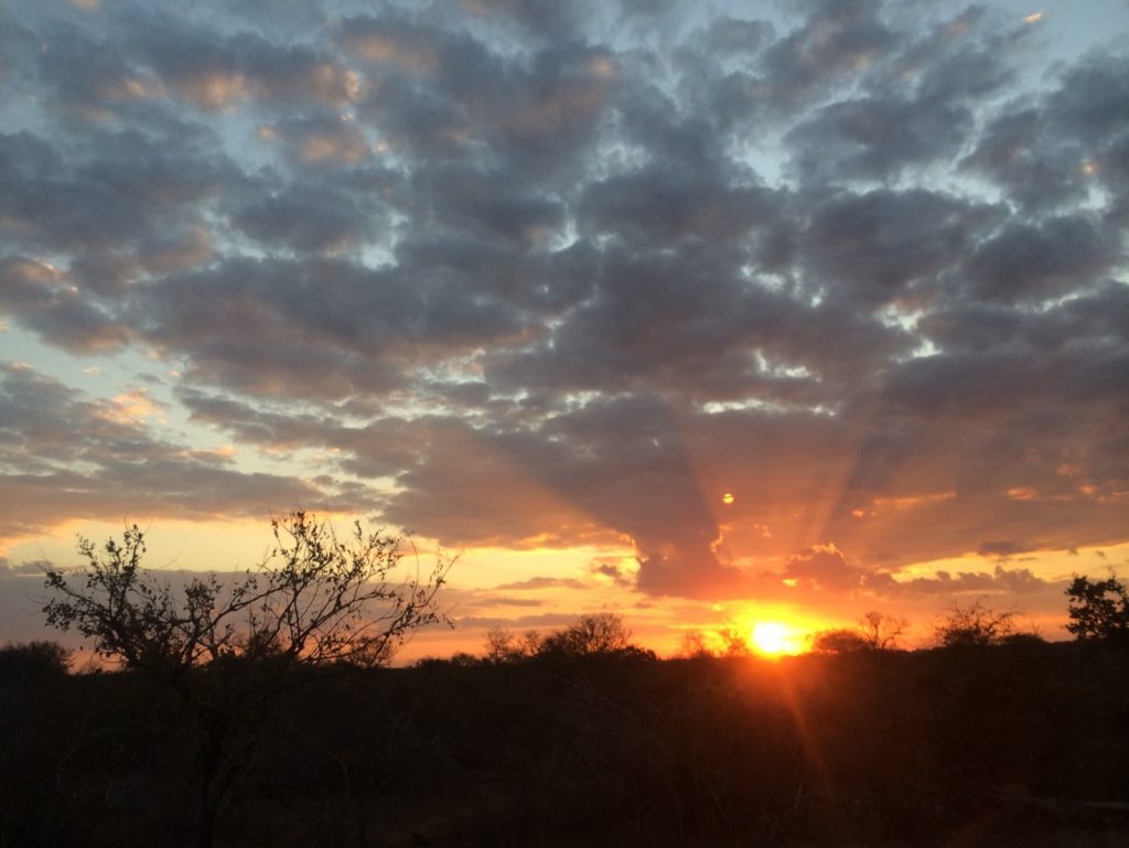 The sun sets over Kruger National Park, South Africa. Photo by Tesla Monson