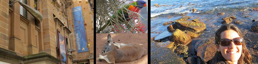 Figure 3: Photographs of the Australian Museum building depicting a T-rex (head and tail can be seen coming out of the windows), of my Australian favorite terrestrial animals — the rainbow lorikeet and a kangaroo, and a record of my first time on the West Pacific ocean.