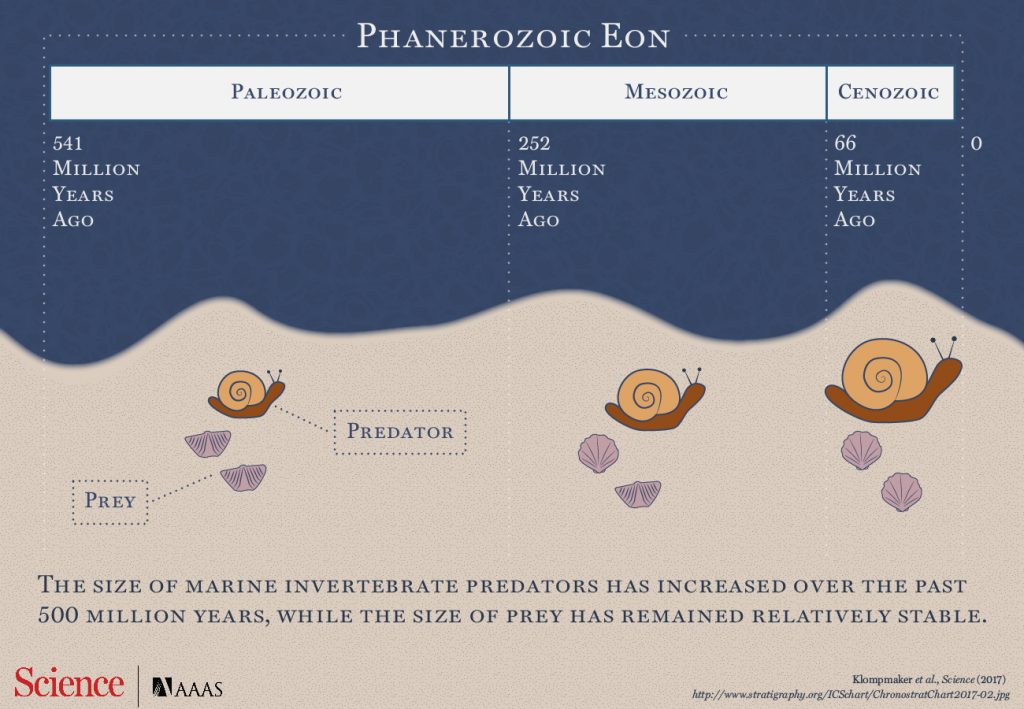 Summary diagram. Credit: Karla Schaffer / AAAS