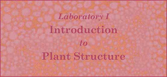 [Laboratory I - Introduction to Plant Structure]