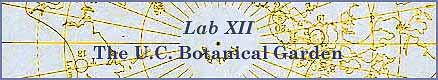 [Laboratory XII - Walk on the Wild Side: The U.C. Botanical Garden]