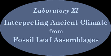 [Laboratory XI - Interpreting past Climate from Fossil Leaf Assemblages]