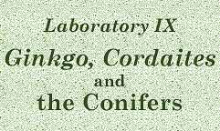 [Laboratory IX -- <EM>Ginkgo,</EM> <EM>Cordaites,</EM> and the Conifers]