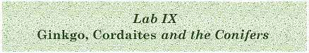 [Laboratory IX -- <EM>Ginkgo,</EM> <EM>Cordaites,</EM> and the Conifers]