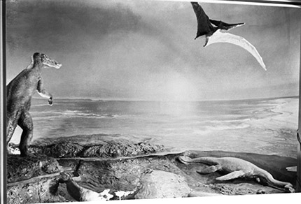 Cretaceous diorama with Pteranodon