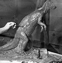 Hadrosaur casting process 1
