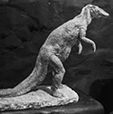 Finished hadrosaur figure