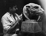 Huff working on the Smilodon head