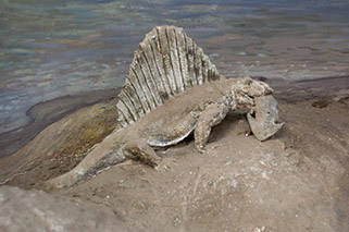 Dimetrodon with Diplocaulus