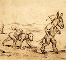 Miner mule and man of burden drawing
