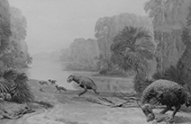 PAJM Eocene diorama