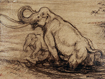 Adult and baby mammoth drawing for PAJM Pleistocene diorama