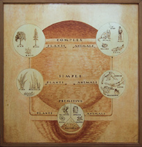 PAJM panel showing complex and simple forms of life