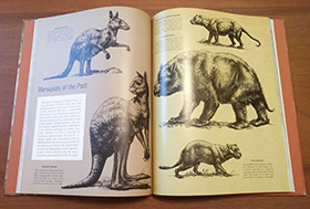 Two-page Time-Life spread with animal reproductions based on Huff sketches
