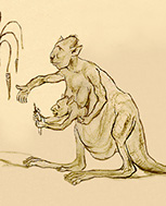 Huff's cartoon of Stirton