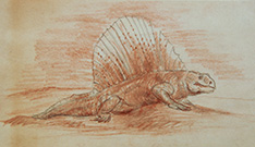 Dimetrodon drawing in red and black