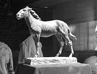 Proud horse sculpture