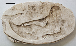 Mold of a mermaid