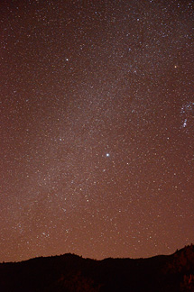 Stars over Los Gatos Creek County Park