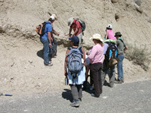 The group examining an exposure at a locality in the Siphonalia Zone