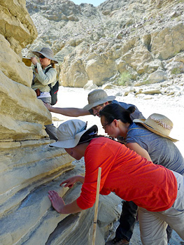 Examining turbidites at Anza-Borrego